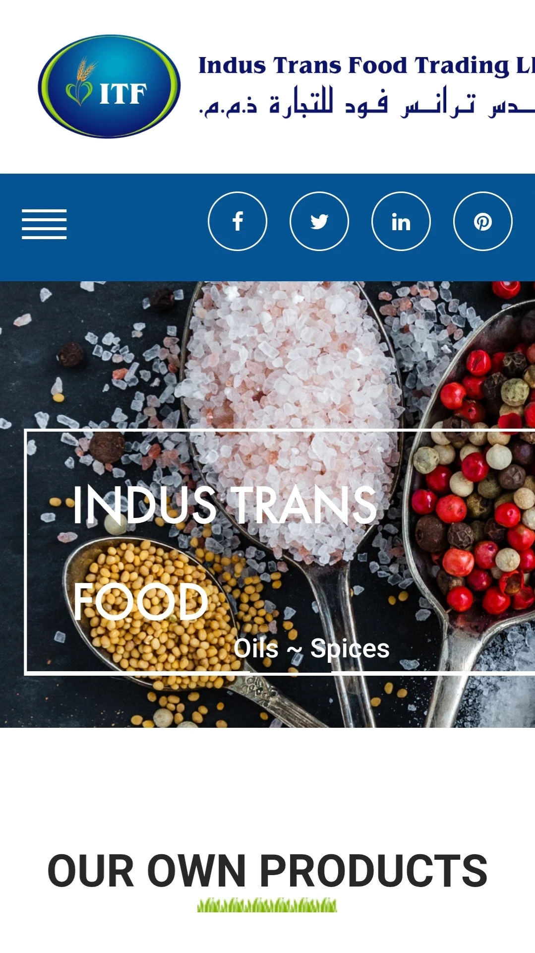 Custom PHP website design for food export business in UAE